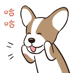 哈小皮
