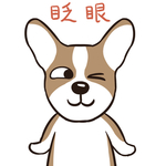 哈小皮
