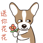 哈小皮