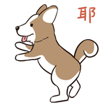 哈小皮