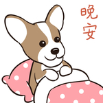哈小皮