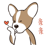 哈小皮