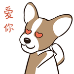 哈小皮