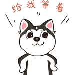 哈小果