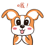 哈小乐