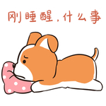 哈小乐