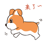 哈小乐