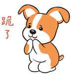 哈小乐
