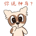 哈小宝