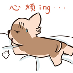 哈小宝