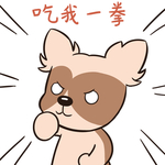 哈小宝