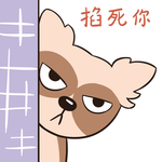 哈小宝