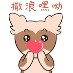 哈小宝