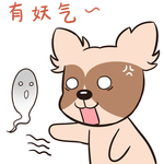 哈小宝