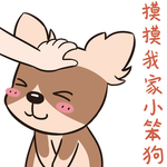 哈小宝