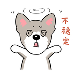哈甜甜