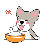 哈甜甜