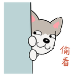 哈甜甜