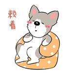 哈甜甜
