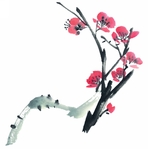 梅花