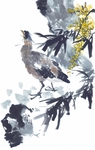 国画花鸟图