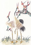国画花鸟图