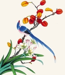 国画花鸟图