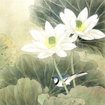 国画花鸟图