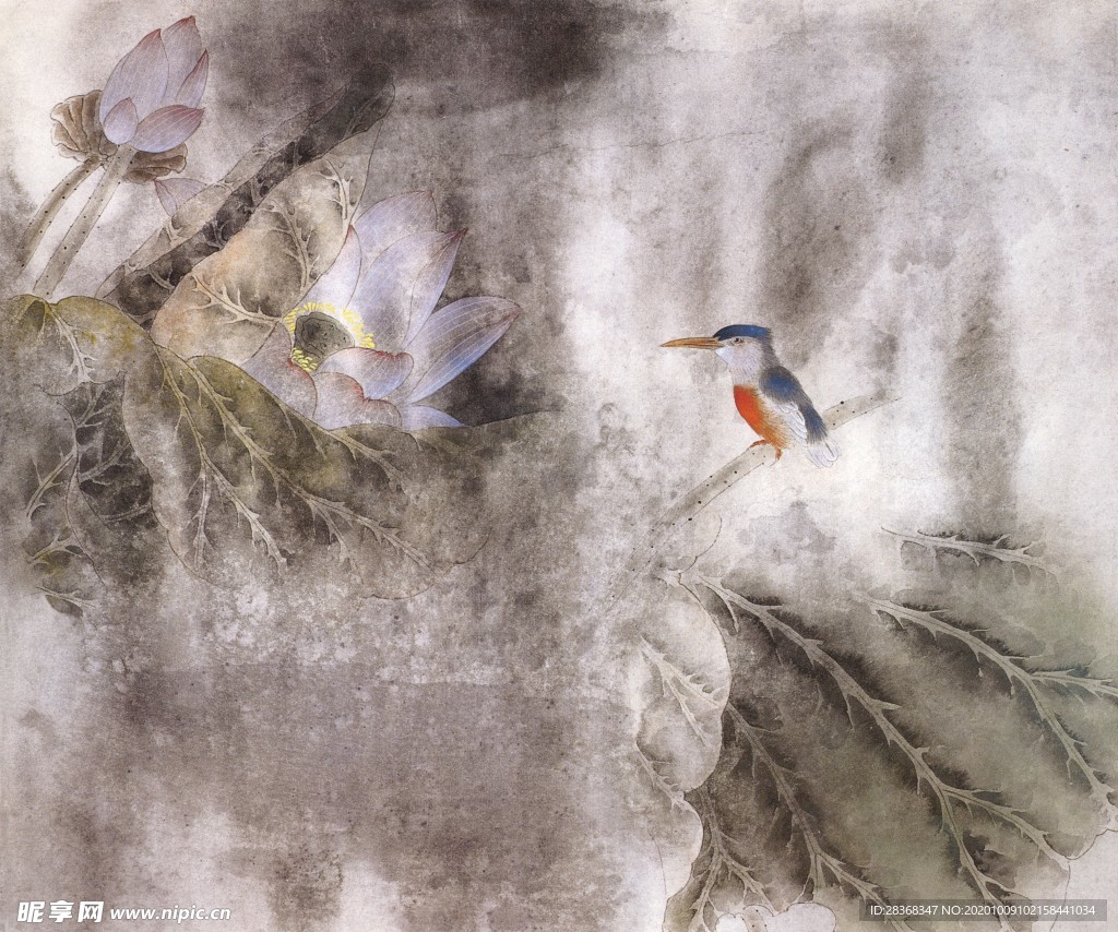 国画花鸟图