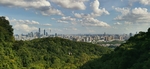 白云山 小蛮腰