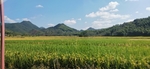 天空 山 稻田