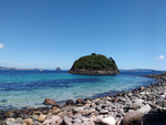 风景