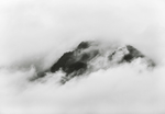 风景