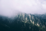 风景