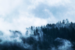 风景