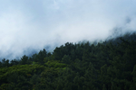 风景