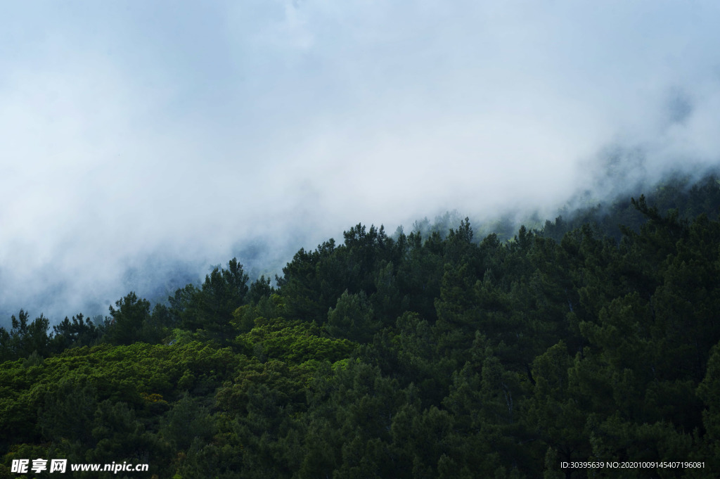 风景
