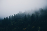 风景