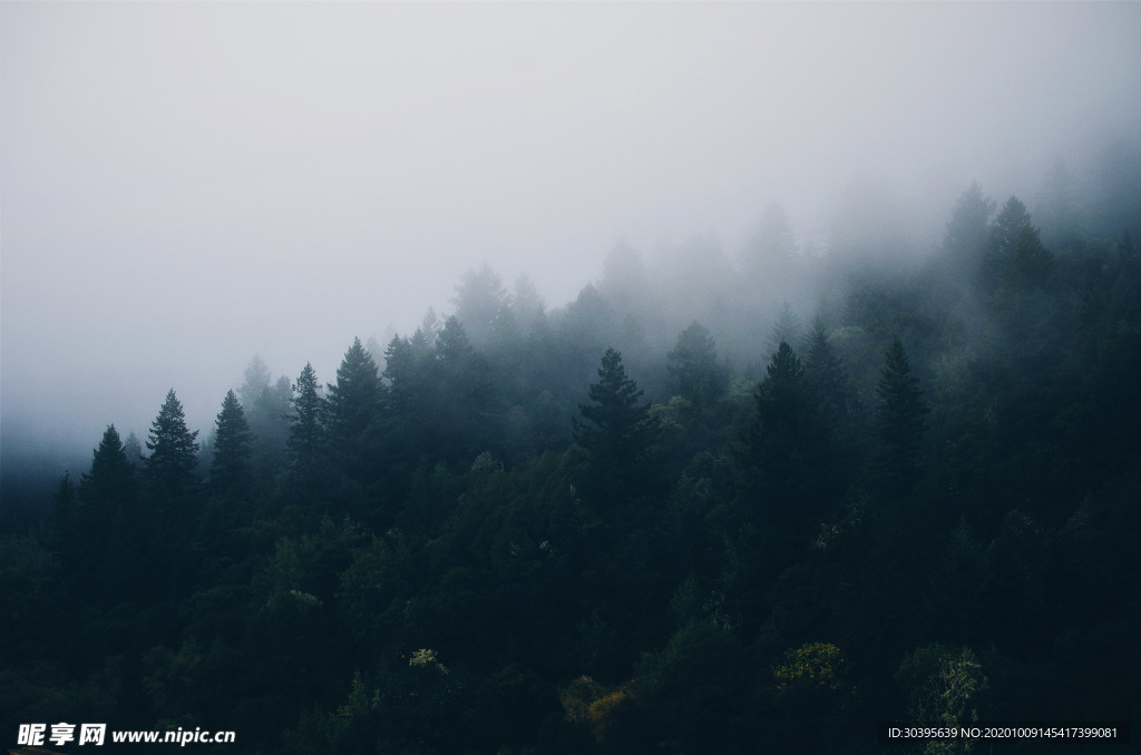 风景