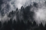 风景