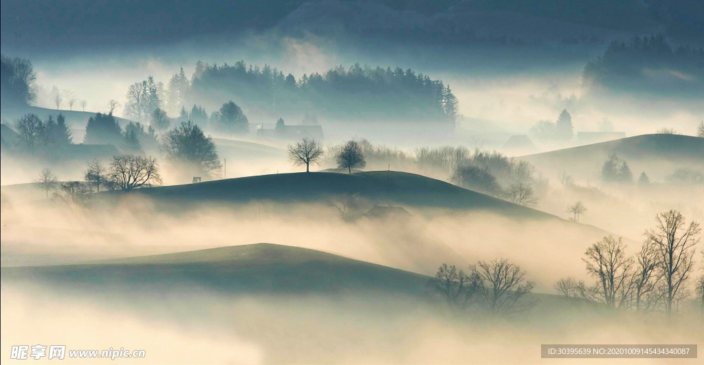 风景