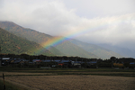风景