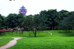 风景