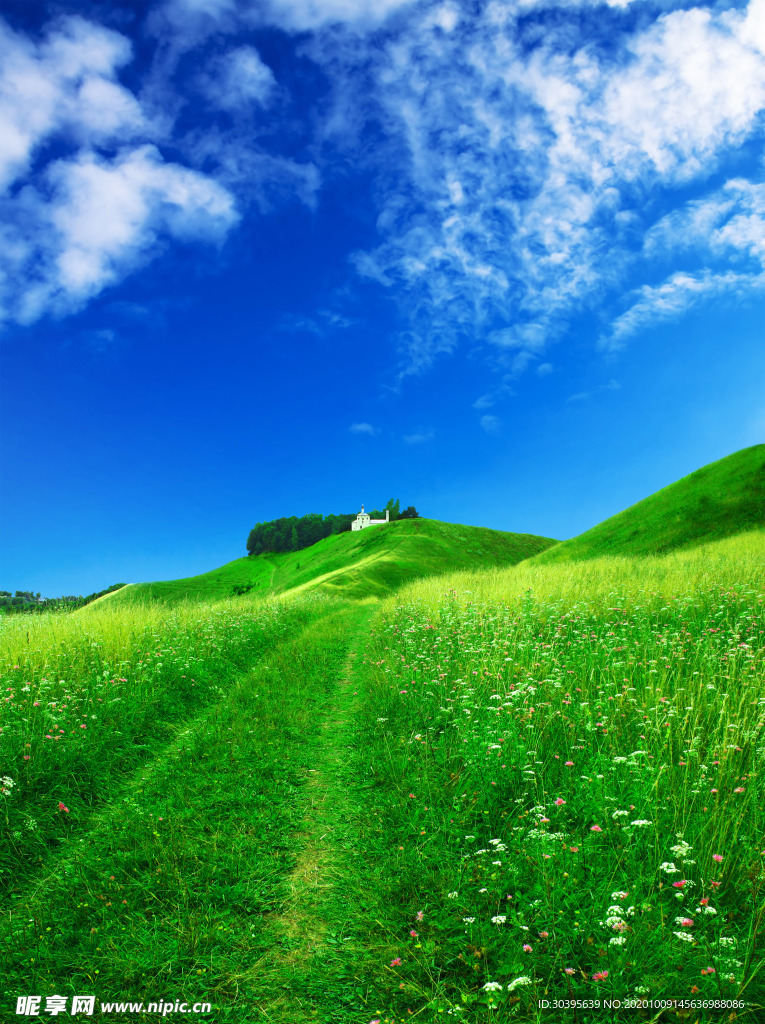 风景
