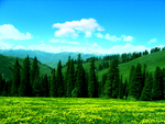 风景
