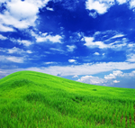 风景