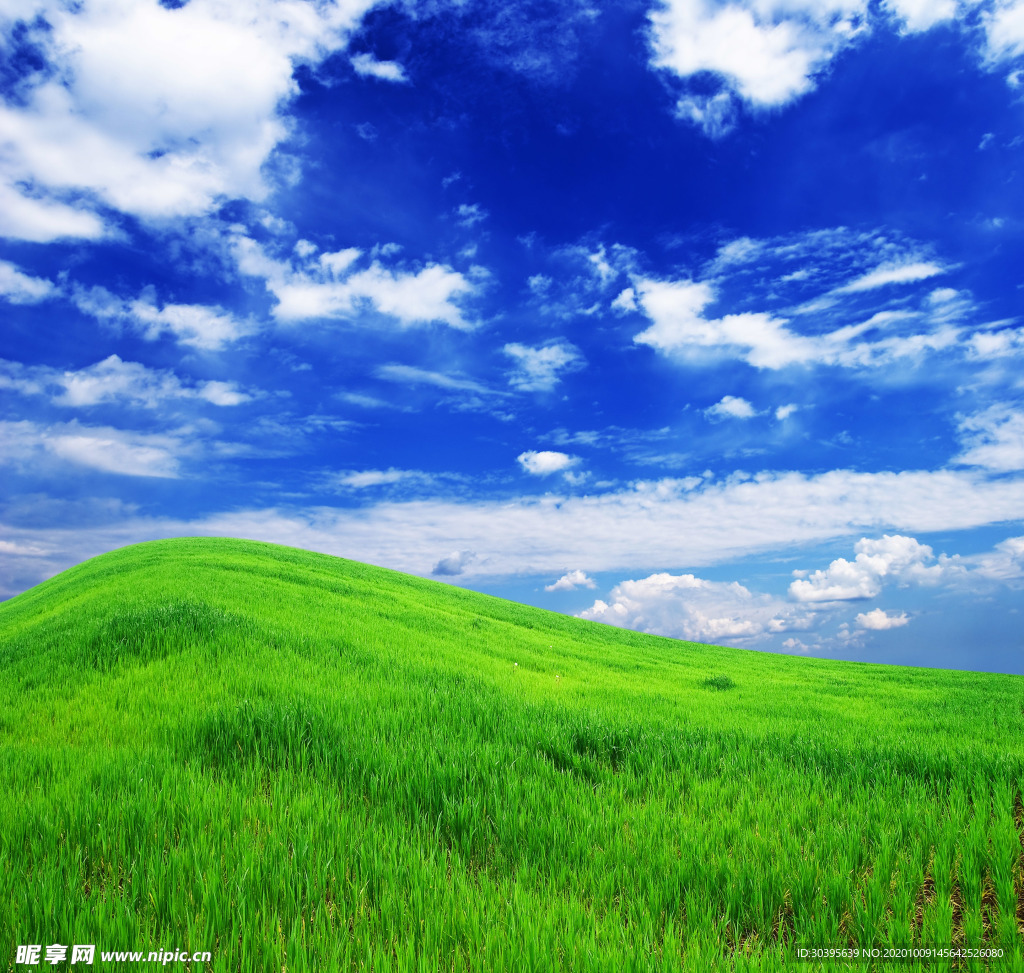 风景