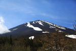 风景