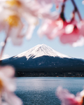 风景