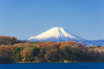 风景